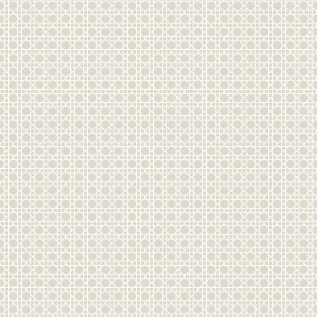 media image for Caning Peel & Stick Wallpaper in Tan by RoomMates for York Wallcoverings 298