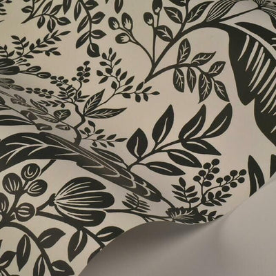 product image for Canopy Wallpaper in Black and White from the Rifle Paper Co. Collection by York Wallcoverings 56
