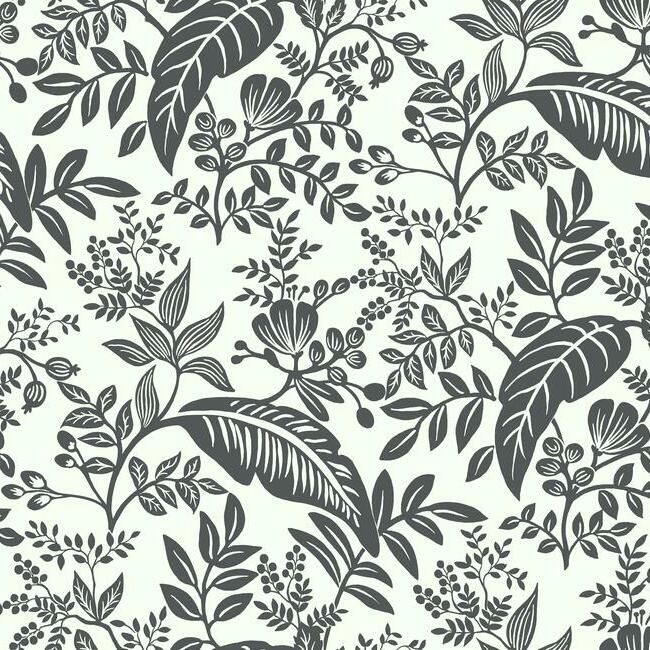 media image for sample canopy wallpaper in black and white from the rifle paper co collection by york wallcoverings 1 249