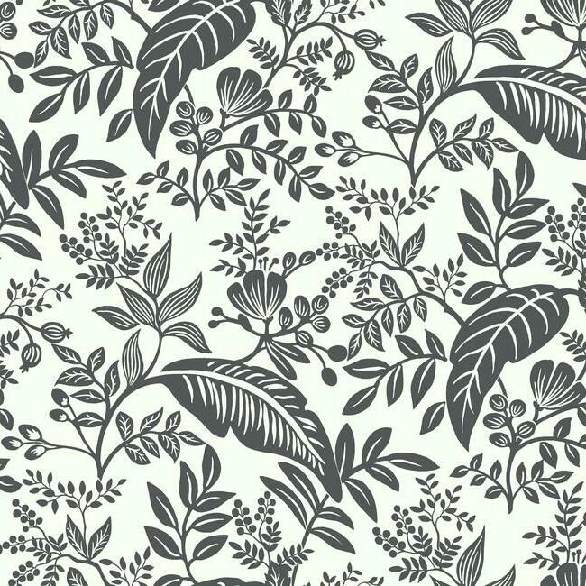 media image for sample canopy wallpaper in black and white from the rifle paper co collection by york wallcoverings 1 283