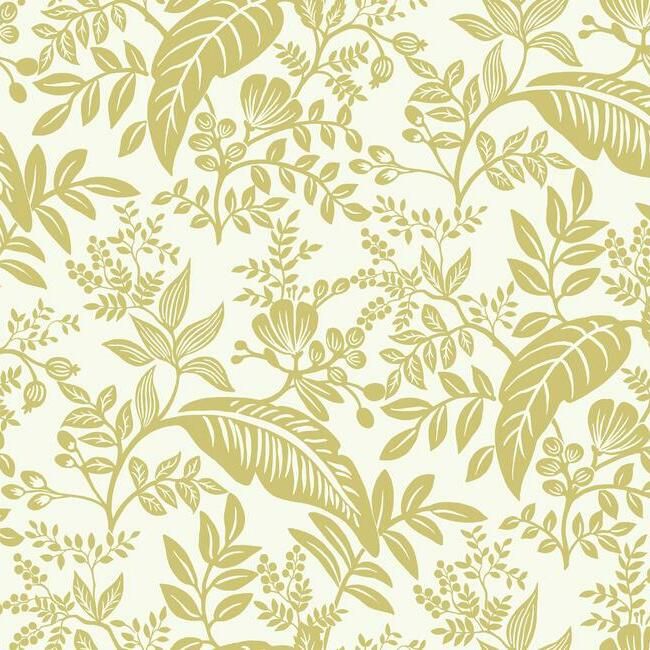 media image for Canopy Wallpaper in Gold and White from the Rifle Paper Co. Collection by York Wallcoverings 227