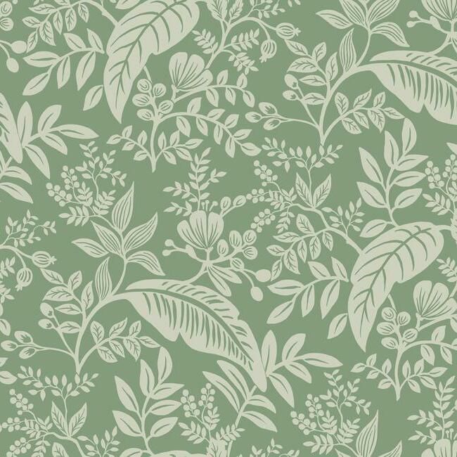 media image for sample canopy wallpaper in sage from the rifle paper co collection by york wallcoverings 1 29