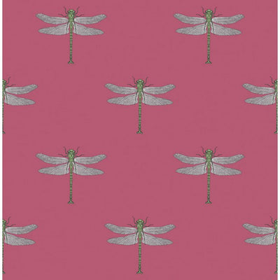 product image of Catalina Wallpaper in Pink and Green from the Tortuga Collection by Seabrook Wallcoverings 597