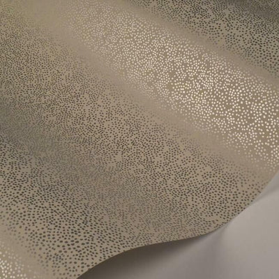 product image for Champagne Dots Wallpaper in Beige from the Rifle Paper Co. Collection by York Wallcoverings 61