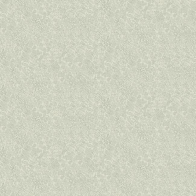media image for Champagne Dots Wallpaper in Beige from the Rifle Paper Co. Collection by York Wallcoverings 278