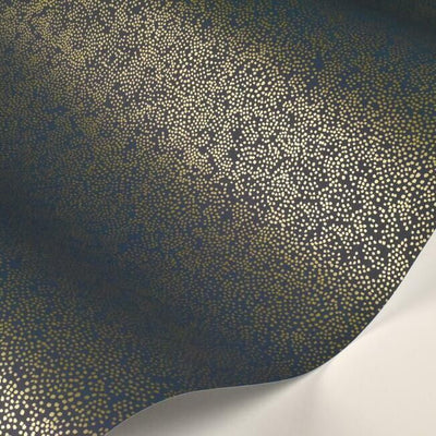 product image for Champagne Dots Wallpaper in Gold and Navy from the Rifle Paper Co. Collection by York Wallcoverings 32