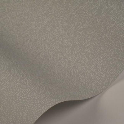 product image for Champagne Dots Wallpaper in Mineral from the Rifle Paper Co. Collection by York Wallcoverings 85