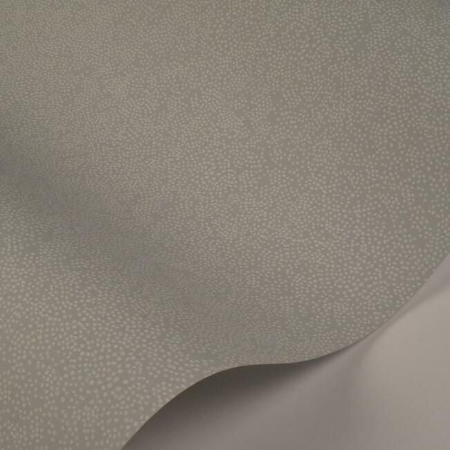 media image for Champagne Dots Wallpaper in Mineral from the Rifle Paper Co. Collection by York Wallcoverings 249
