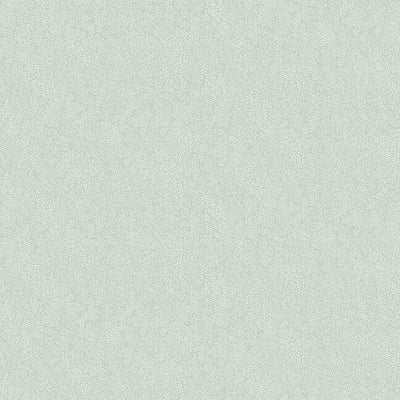 product image of sample champagne dots wallpaper in mineral from the rifle paper co collection by york wallcoverings 1 577