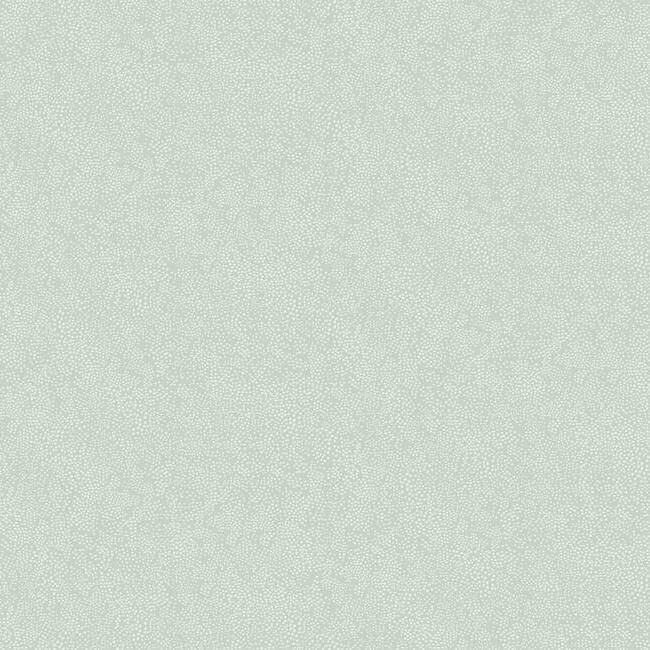 media image for sample champagne dots wallpaper in mineral from the rifle paper co collection by york wallcoverings 1 282