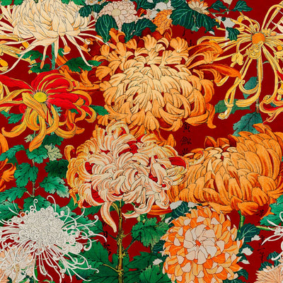 product image of Chrysanthemums Wallpaper in Multi from the Florilegium Collection by Mind the Gap 54