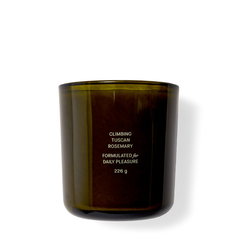 media image for Climbing Tuscan Rosemary Candle by Flamingo Estate 251