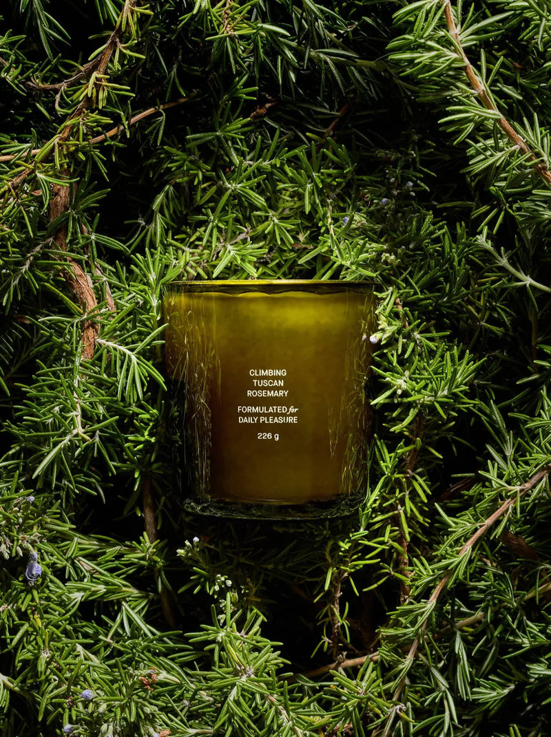 media image for Climbing Tuscan Rosemary Candle  233