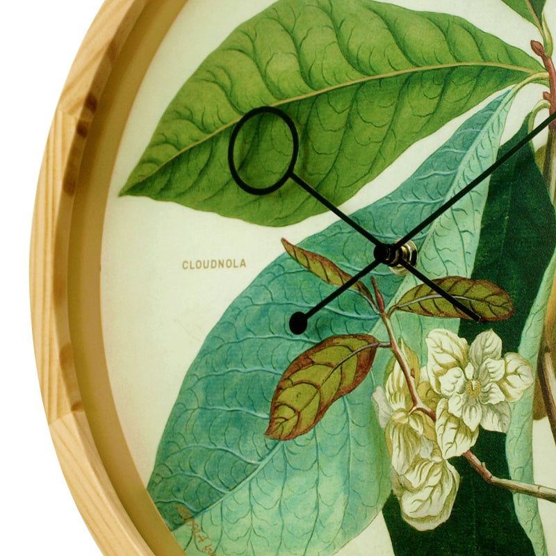 media image for Botanical Anona Plant Wall Clock 261