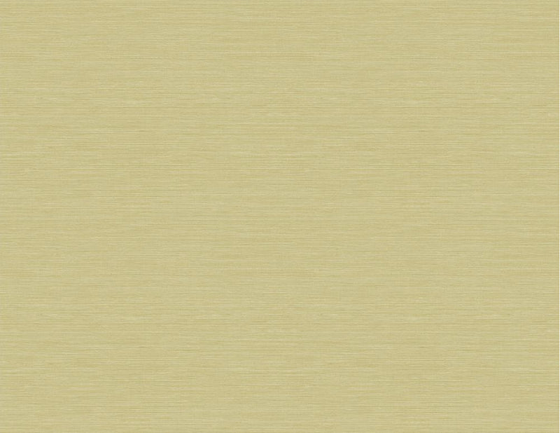 media image for Coastal Hemp Wallpaper in Aloe from the Texture Gallery Collection by Seabrook Wallcoverings 222