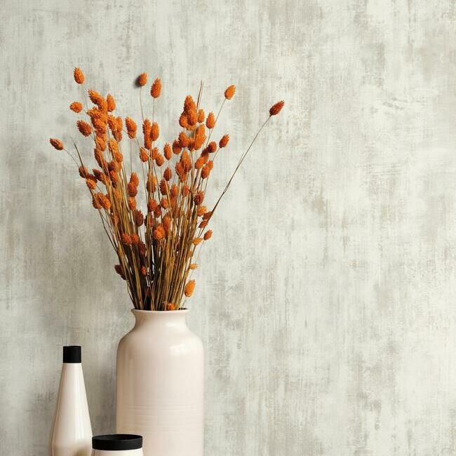 media image for Concrete Patina Wallpaper in White and Neutrals by Antonina Vella for York Wallcoverings 253