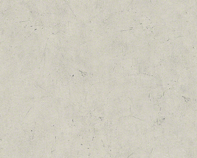product image of Concrete Wallpaper in Beige design by BD Wall 562