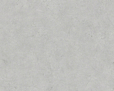 product image of Concrete Wallpaper in Grey design by BD Wall 544
