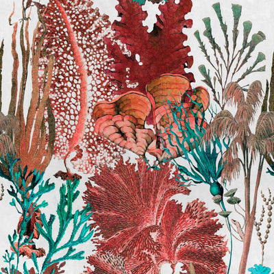 product image of Coral Reef Wallpaper in Multi from the Atoll Collection by Mind the Gap 558