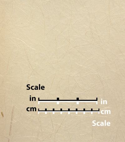 product image of Cream Vein Natural Wallpaper by Burke Decor 537