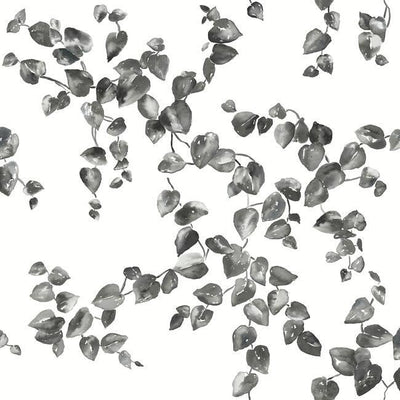 product image for Creeping Fig Vine Wallpaper in Black and White from the Simply Farmhouse Collection by York Wallcoverings 1