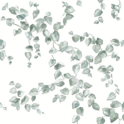 product image of sample creeping fig vine wallpaper in sage from the simply farmhouse collection by york wallcoverings 1 59