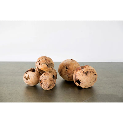 product image for fir root orb by bd edition da5399 2 73