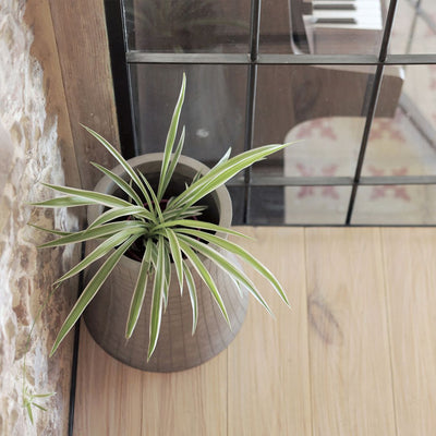 product image for Urban Garden - Nuclear Plant Flower Pot in Various Sizes by Lyon Béton 79