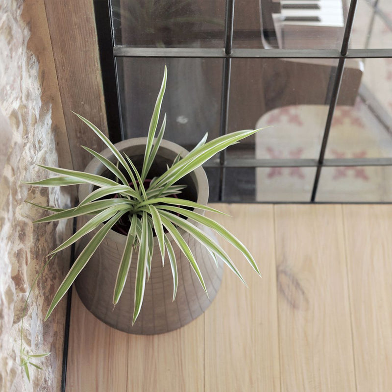 media image for Urban Garden - Nuclear Plant Flower Pot in Various Sizes by Lyon Béton 221