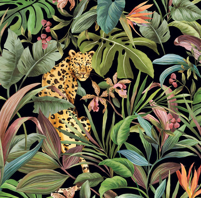 product image of Tropical Leopard Black Peel-and-Stick Wallpaper from the Daisy Bennett Collection by NextWall 531