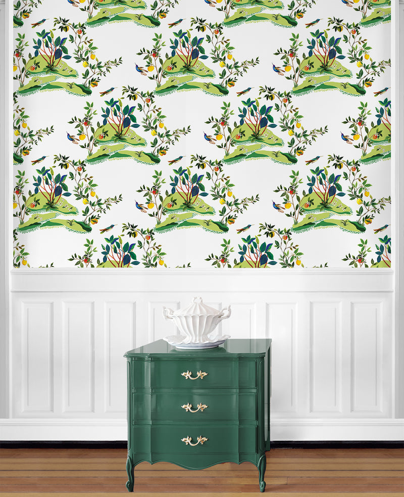 media image for Citrus Hummingbird Wallpaper in White 211