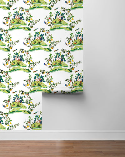 product image for Citrus Hummingbird Wallpaper in White 93