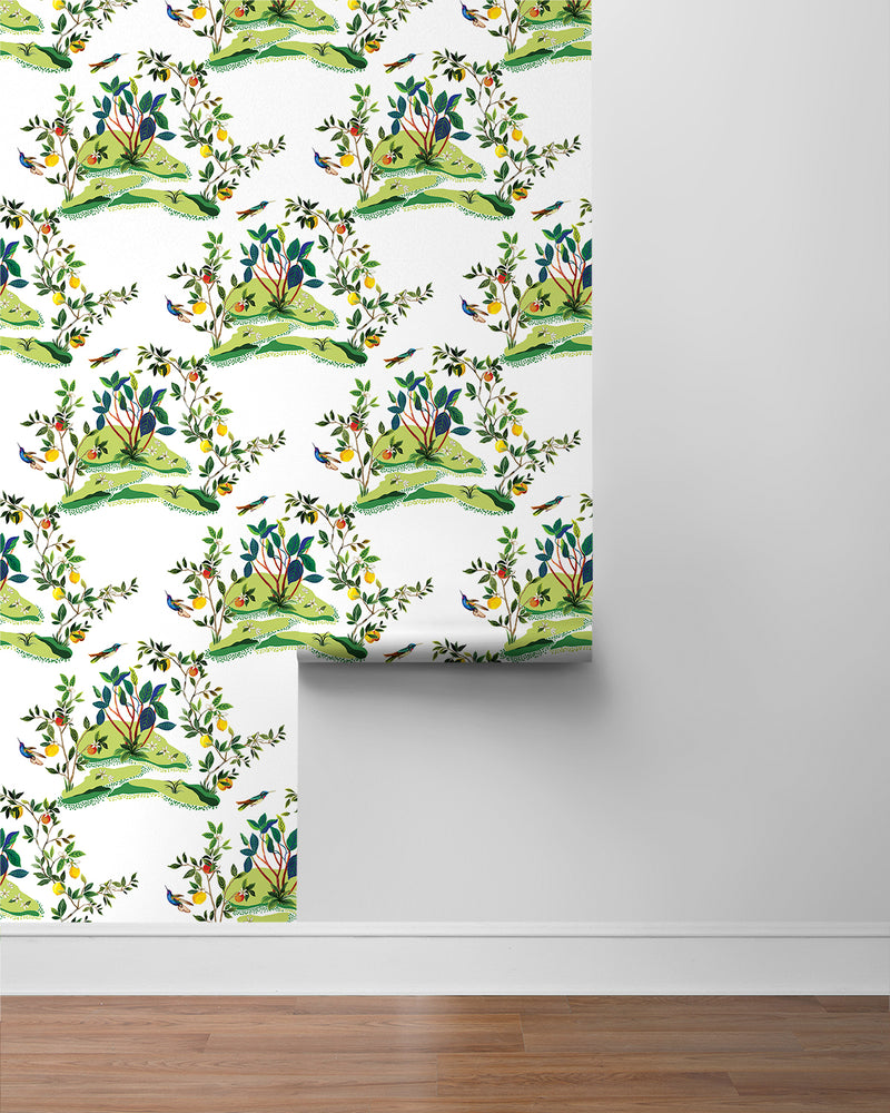 media image for Citrus Hummingbird Wallpaper in White 27