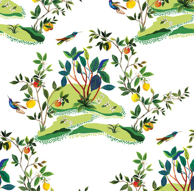 product image of Citrus Hummingbird Wallpaper in White 518