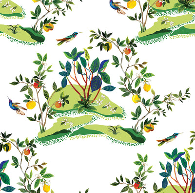 product image of Citrus Hummingbird Wallpaper in White 564