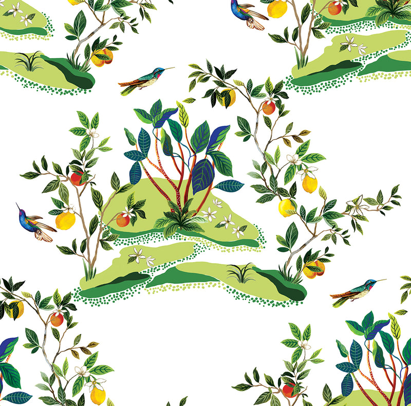 media image for Citrus Hummingbird Wallpaper in White 265