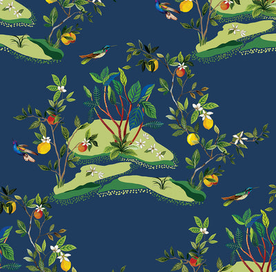 product image of Citrus Hummingbird Wallpaper in Navy Blue 511