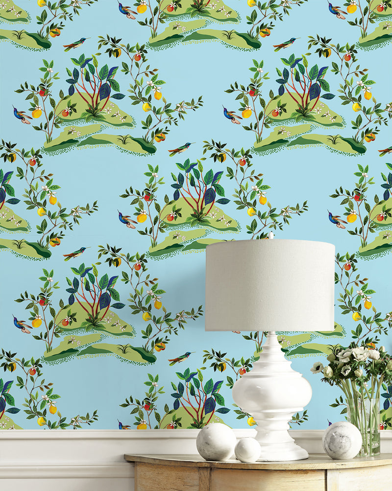media image for Citrus Hummingbird Wallpaper in Sky Blue 245