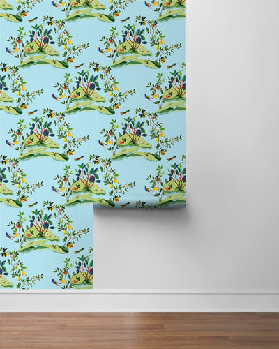 product image for Citrus Hummingbird Wallpaper in Sky Blue 20
