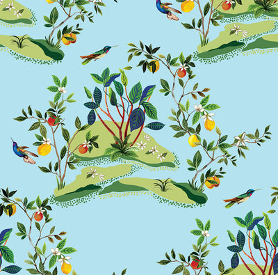 product image of Citrus Hummingbird Wallpaper in Sky Blue 523