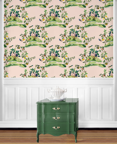 product image for Citrus Hummingbird Wallpaper in Blush 44