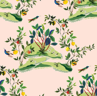 product image of Citrus Hummingbird Wallpaper in Blush 592