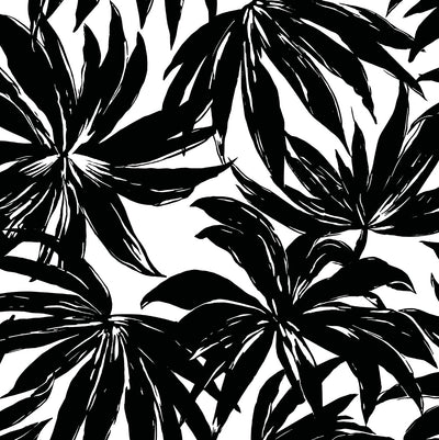 product image of Palma Wallpaper in Black 543