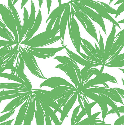 product image of Palma Wallpaper in Green 53