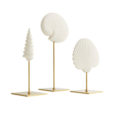 product image for shell sculptures set of 3 by arteriors arte dc9000 2 81