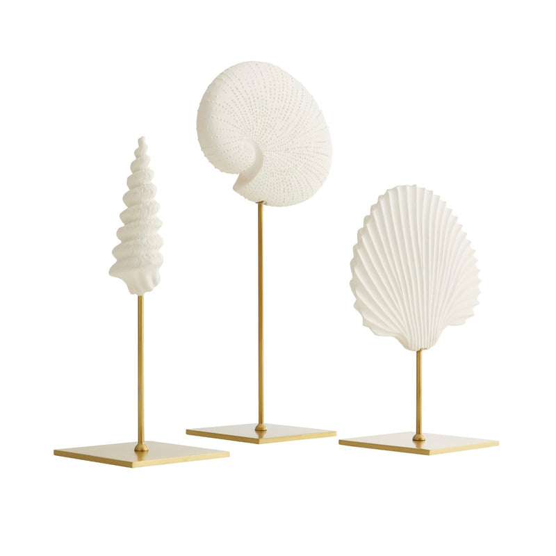 media image for shell sculptures set of 3 by arteriors arte dc9000 2 235