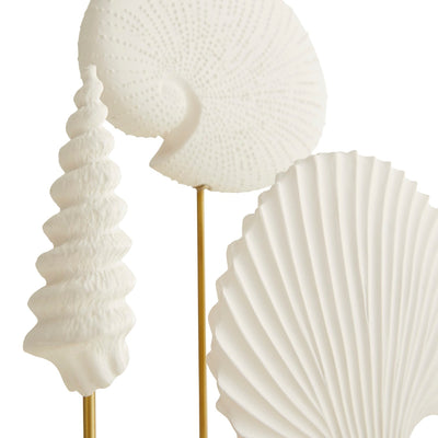 product image for shell sculptures set of 3 by arteriors arte dc9000 3 5