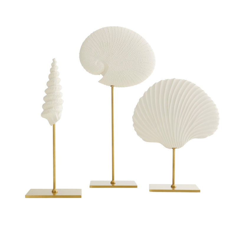 media image for shell sculptures set of 3 by arteriors arte dc9000 1 22