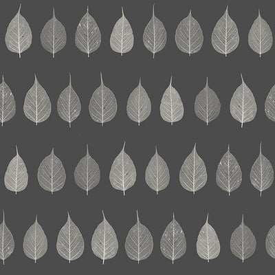product image for Greenhouse Charcoal Leaves Wallpaper from Design Department by Brewster 84