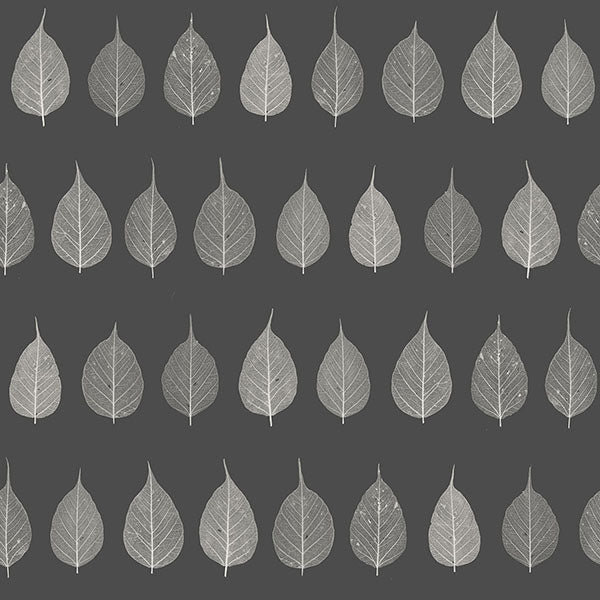 media image for Greenhouse Charcoal Leaves Wallpaper from Design Department by Brewster 20